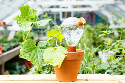 Foto House of Thol Waterworks