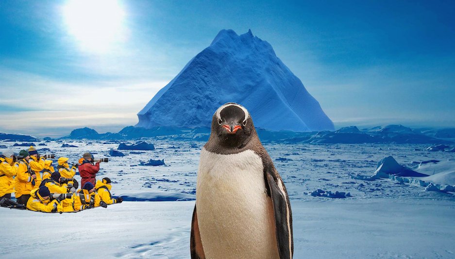 Campagnebeeld Antarctica met De Jongens - Vis à Vis