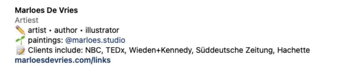 Bio op Instagram van een kunstenaar als voorbeeld