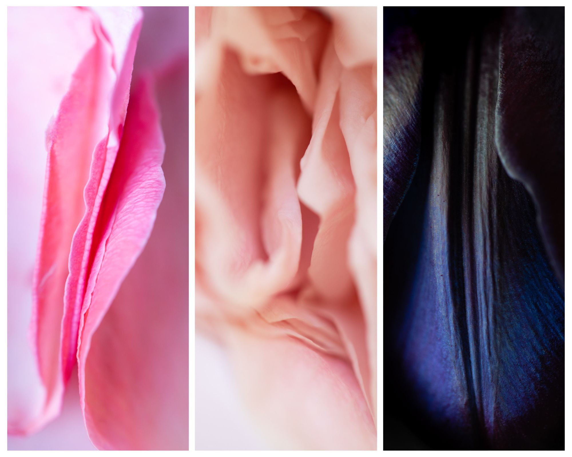 Foto's uit de collectie Sacrée Fleur van Yasmin-Claire Tan